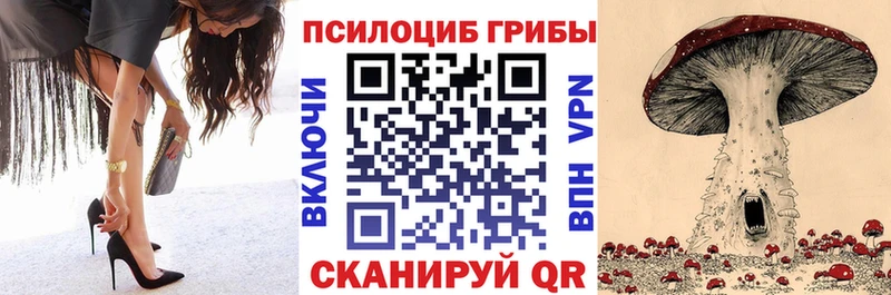 Псилоцибиновые грибы прущие грибы мориарти наркотические препараты Новодвинск blacksprut сайт